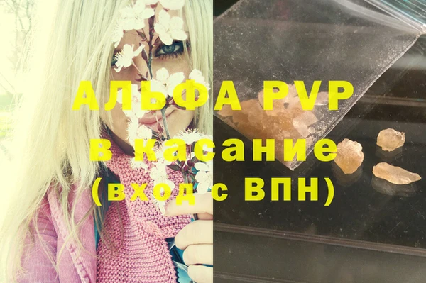 молекула духа Балахна