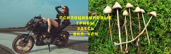 молекула духа Балахна