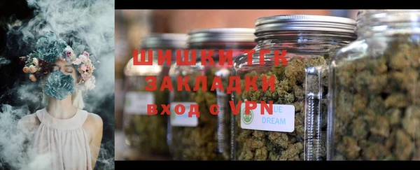 молекула духа Балахна